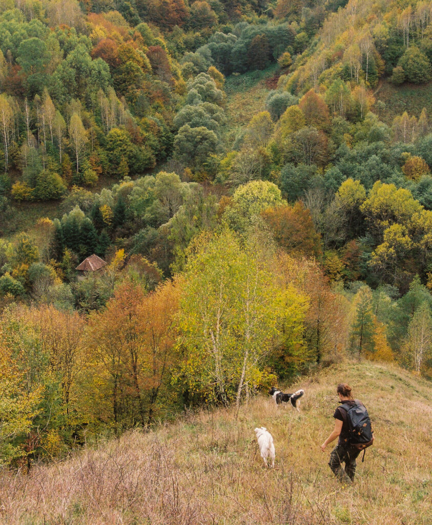 Eliane im Herbst in den Bergen